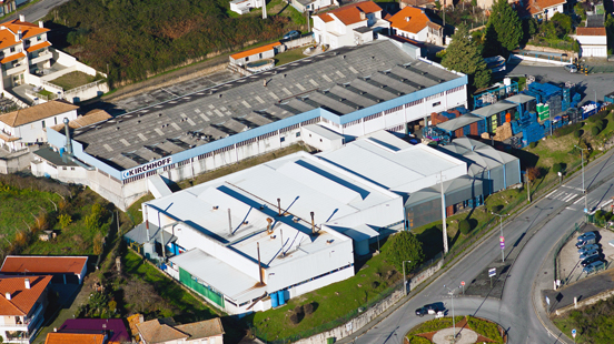 Cucujaes Plant